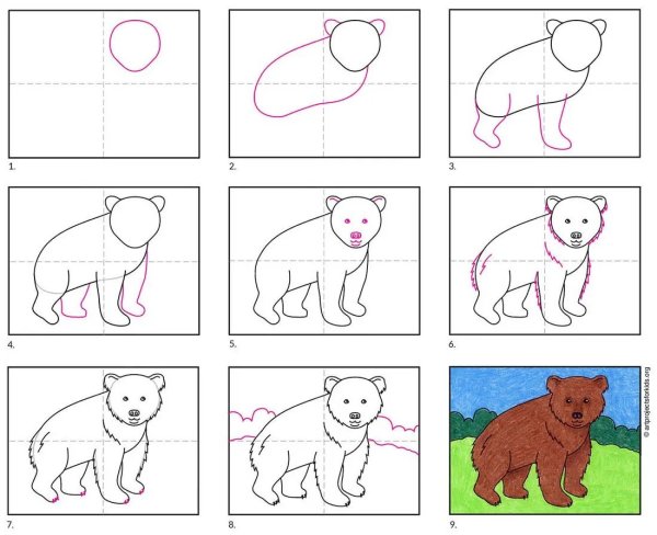 Идеи для срисовки медведь для детей карандашом поэтапно легко для начинающих (90 фото)