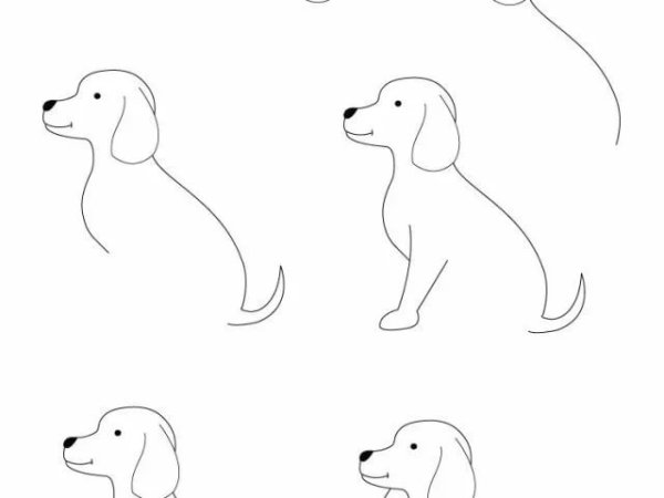 Идеи для срисовки собачки для детей карандашом поэтапно легко для начинающих (90 фото)