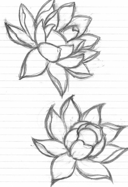 Идеи для срисовки цветка карандашом простые но красивые поэтапно (90 фото)
