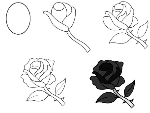 Идеи для срисовки роза карандашом поэтапно легко (90 фото)