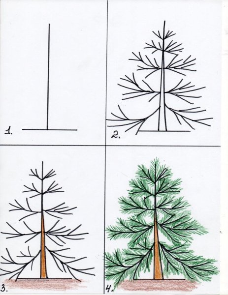 Идеи для срисовки леса легко поэтапно (90 фото)