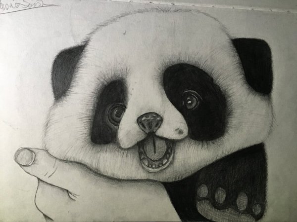 Идеи для срисовки красивые поэтапно панда (90 фото)
