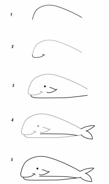 Идеи для срисовки легкий дельфина поэтапно (90 фото)