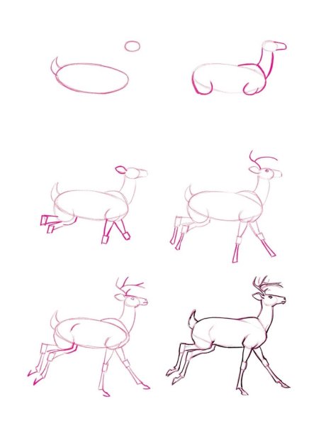 Идеи для срисовки оленя легкий поэтапно (90 фото)
