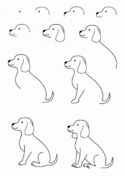 Идеи для срисовки собаки поэтапно карандашом легко для детей (90 фото)