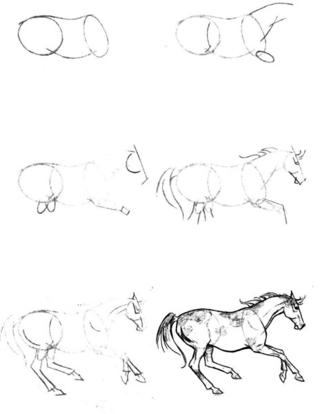 Идеи для срисовки легкий поэтапно лошадь (90 фото)