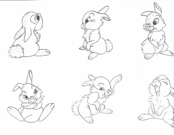 Идеи для срисовки кролик для детей поэтапно легко (90 фото)