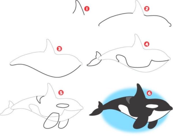 Идеи для срисовки дельфин для детей карандашом поэтапно легко (90 фото)