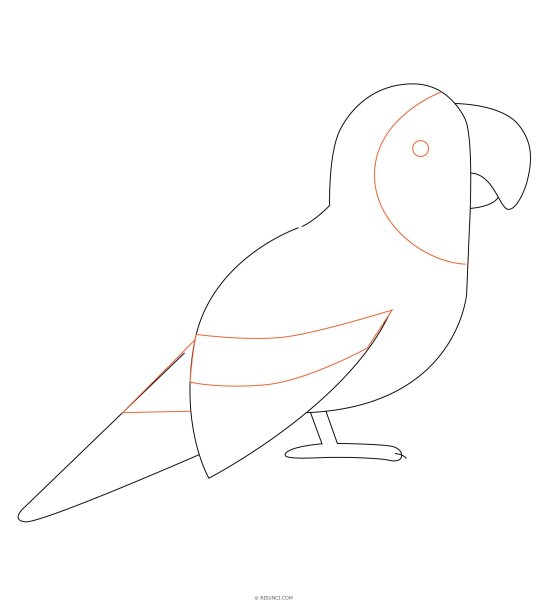 Идеи для срисовки попугай для детей карандашом поэтапно легко (90 фото)