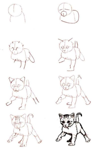 Идеи для срисовки кошки для детей карандашом поэтапно легко (90 фото)