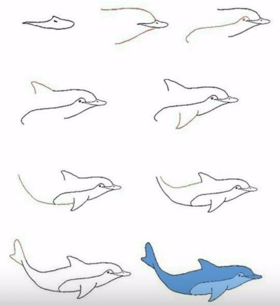 Идеи для срисовки дельфин карандашом поэтапно легко (90 фото)