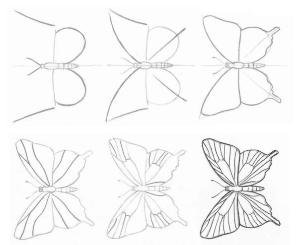 Идеи для срисовки бабочка для детей поэтапно легко карандашом (87 фото)