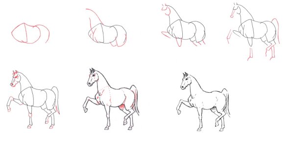 Идеи для срисовки лошади поэтапно легко и просто (90 фото)