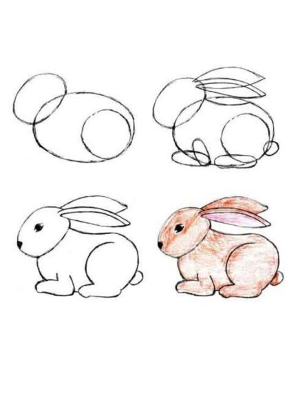 Идеи для срисовки заяц простой поэтапно (90 фото)