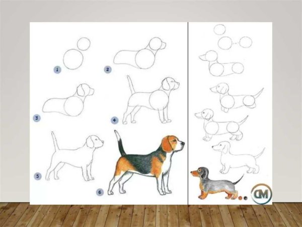 Идеи для срисовки собака простой поэтапно для детей (90 фото)