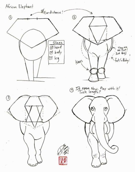 Идеи для срисовки легкий слона поэтапно (90 фото)
