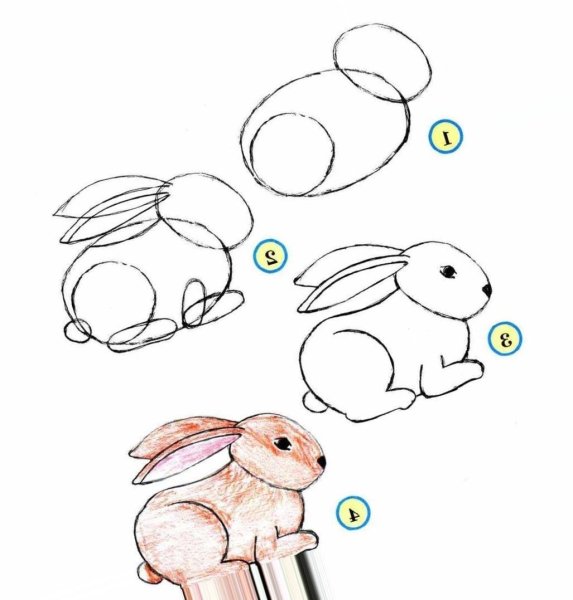 Идеи для срисовки заяц для детей простой поэтапно карандашом для начинающих (90 фото)
