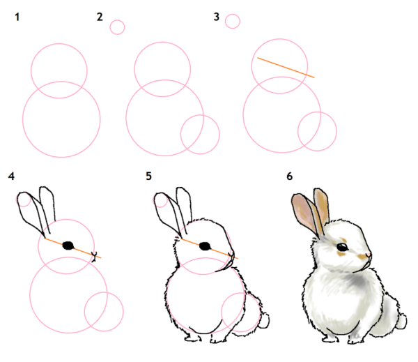 Идеи для срисовки кролик простой поэтапно (90 фото)