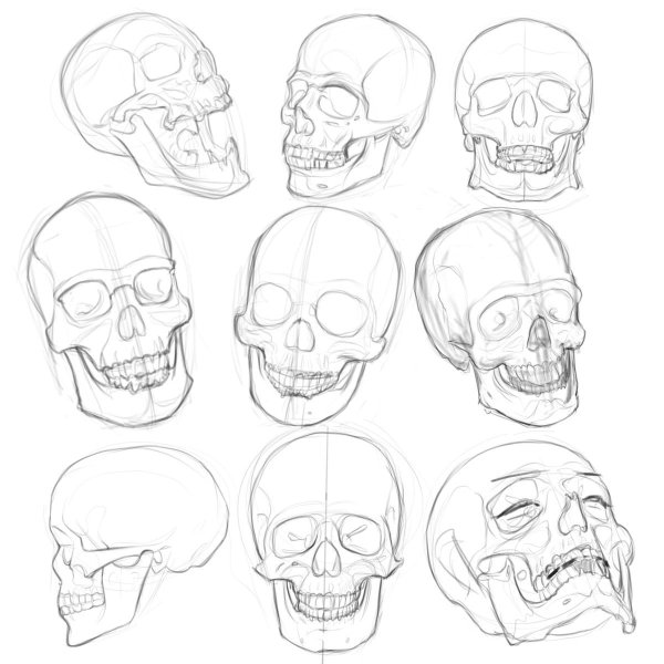 Рисунки черепа карандашом для начинающих (66 фото)