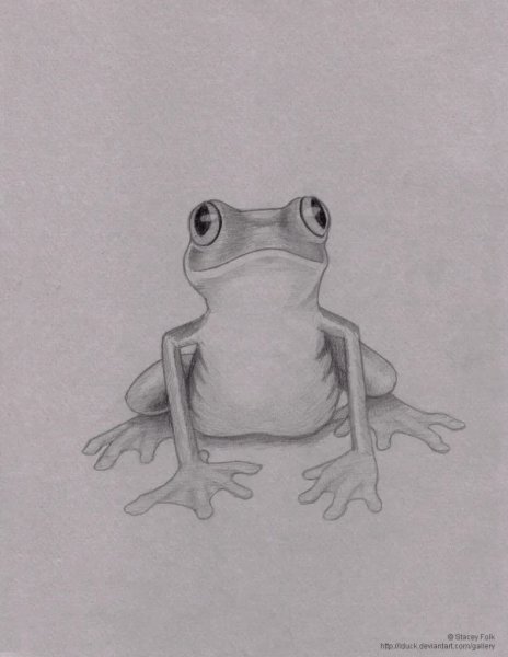 Идеи для срисовки лягушки для детей поэтапно легко карандашом (89 фото)