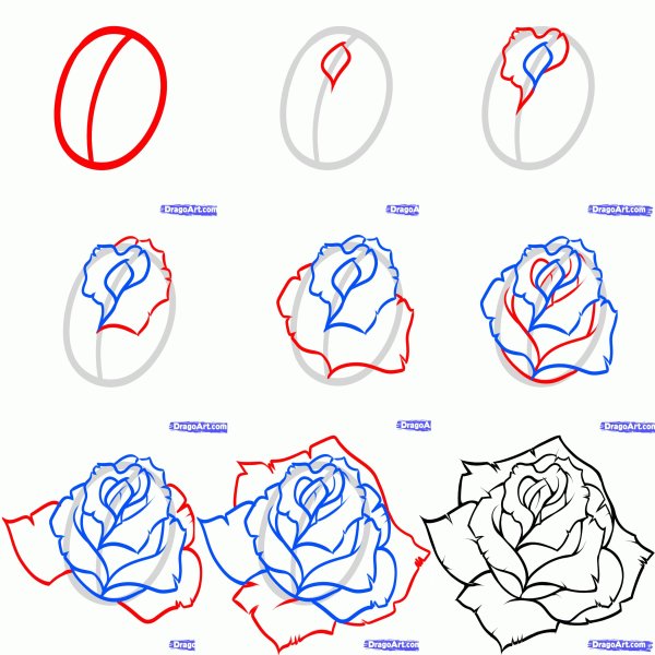 Идеи для срисовки роза для детей карандашом поэтапно легко (90 фото)