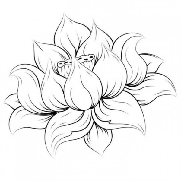 Картинки для срисовки из Аленький цветочек (31 фото)