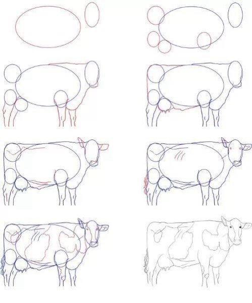Идеи для срисовки корова для детей простой поэтапно карандашом (90 фото)