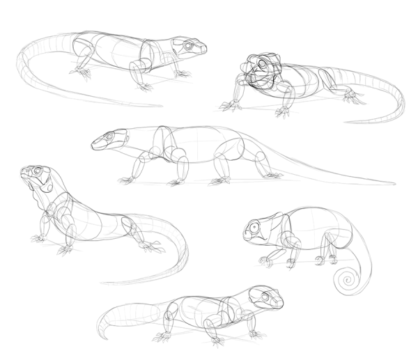 Идеи для срисовки крокодил для детей простой карандашом поэтапно (90 фото)