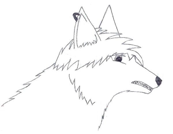 Идеи для срисовки волк карандашом поэтапно для начинающих легко (90 фото)
