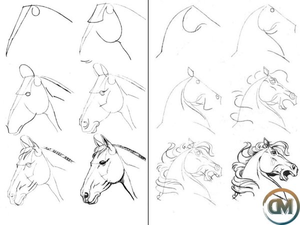 Идеи для срисовки лошади карандашом поэтапно для начинающих легко (90 фото)