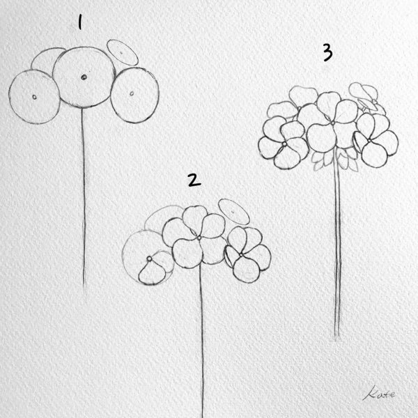 Идеи для срисовки простые цветы поэтапно (90 фото)