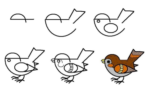 Идеи для срисовки птица простой поэтапно (90 фото)