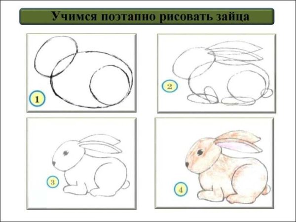 Идеи для срисовки простой зайца карандашом поэтапно (90 фото)