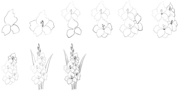 Идеи для срисовки красивый цветок поэтапно (90 фото)