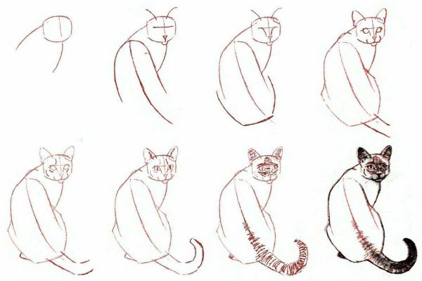 Идеи для срисовки красивые кошки поэтапно (90 фото)