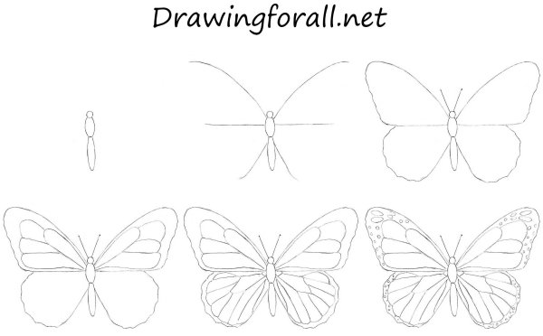 Идеи для срисовки бабочки простым карандашом поэтапно (83 фото)