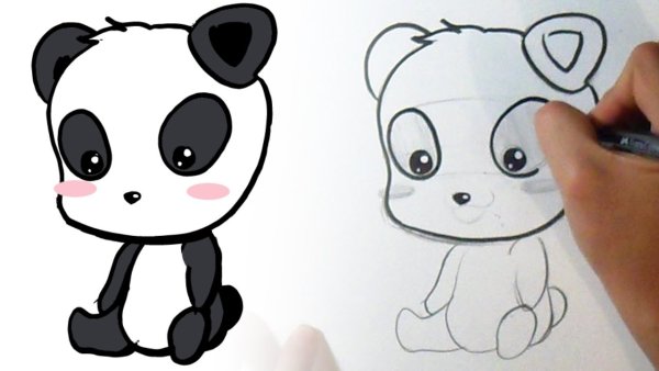 Идеи для срисовки панда простым карандашом поэтапно (90 фото)
