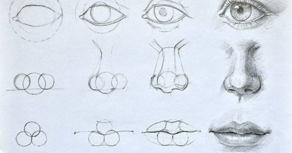 Идеи для срисовки лицо человека поэтапно простой (90 фото)