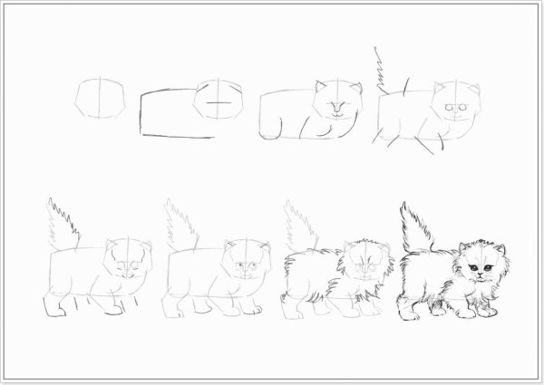 Идеи для срисовки простым карандашом поэтапно котенок (90 фото)