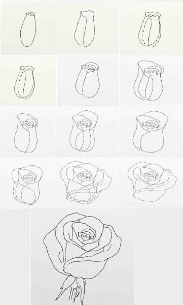 Идеи для срисовки роза простой поэтапно для начинающих (90 фото)