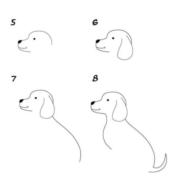 Идеи для срисовки собак простым карандашом для начинающих поэтапно (90 фото)