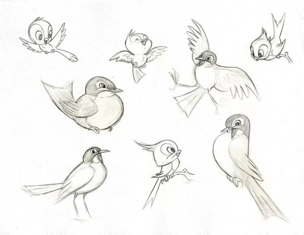 Идеи для срисовки птицы карандашом для детей поэтапно просто (90 фото)