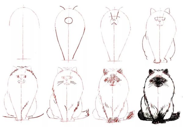 Идеи для срисовки кота простым карандашом поэтапно для начинающих (90 фото)