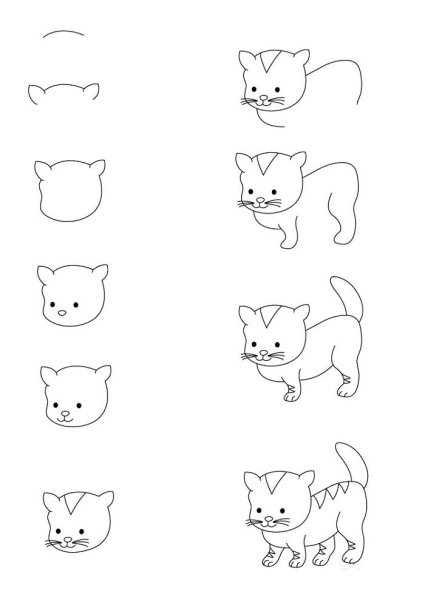 Рисунок кошки легкий для срисовки