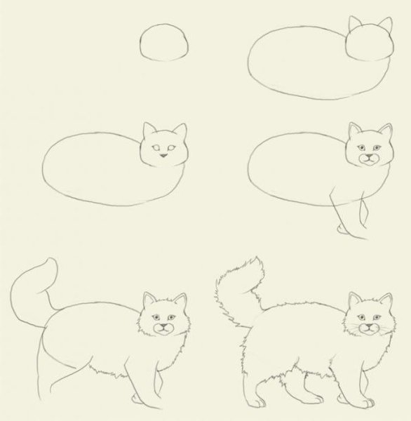 Поэ апное рисование кошки