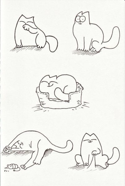 Коты для срисовки легкие