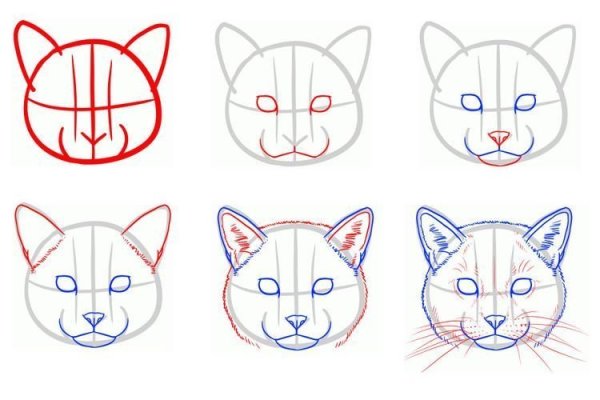 Морда кошки для рисования
