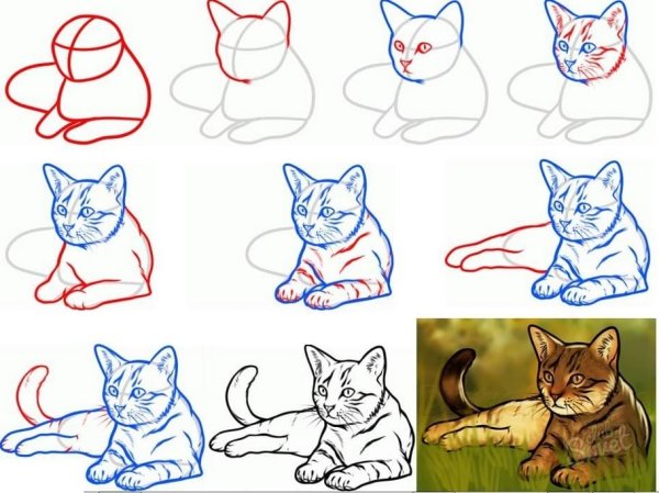 Уроки рисования кошек