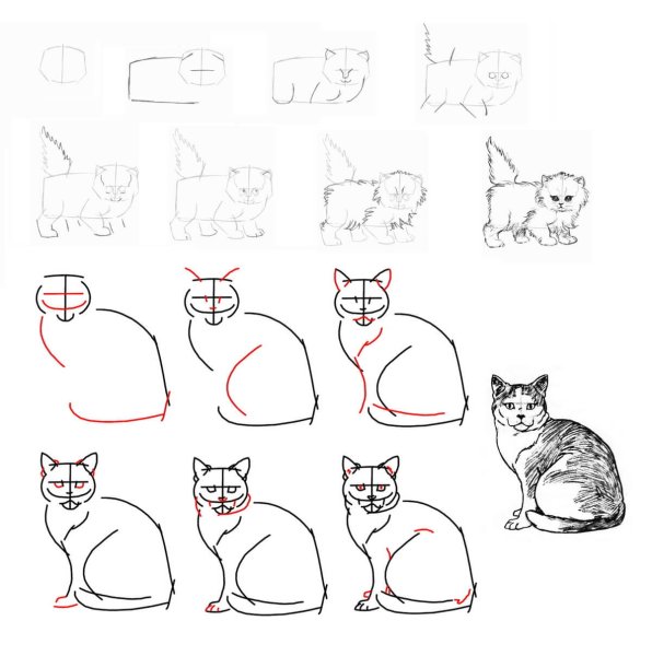 Кошка рисунок