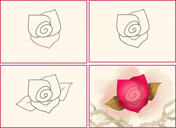 Пошаговое рисование розы карандашом
